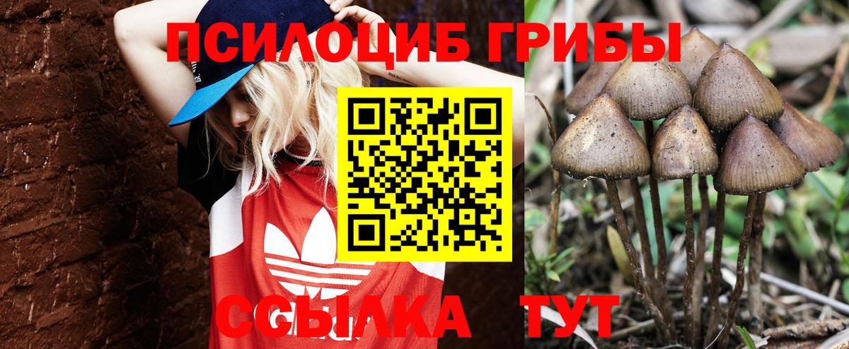 Джанкой  цены   Вход с VPN  Галлюциногенные грибы мухоморы 